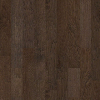 Picture of Shaw Floors - Riverstone Espresso