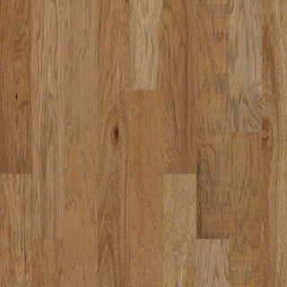 Picture of Shaw Floors - Riverstone Sunkissed