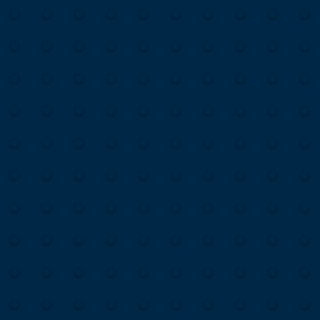 Picture of Johnsonite - Tactile Warning Tile Domes Navy Blue