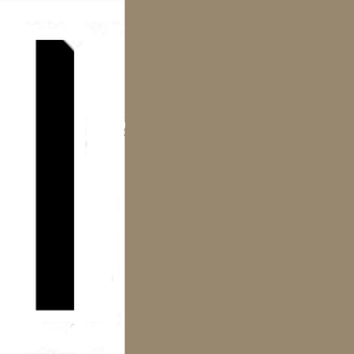 Picture of Johnsonite - Millwork Monument 2.5 Brass