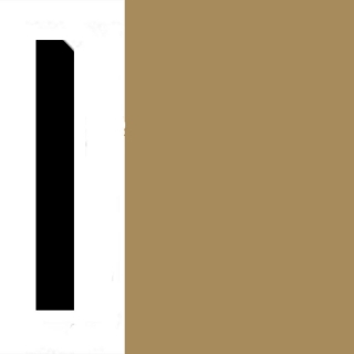 Picture of Johnsonite - Millwork Monument 2.5 Old Gold