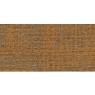 Picture of Philadelphia Commercial by Shaw - Raw Beauty 18 x 36 Magnetic