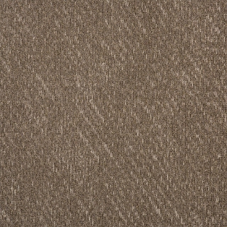 Picture of Mannington Commercial - Fan Fold Seahorse