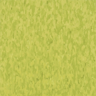 Picture of Armstrong - Standard Excelon Imperial Texture 1/8 Kickin Kiwi