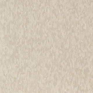 Picture of Armstrong - Standard Excelon Imperial Texture 1/8 Mint Cream