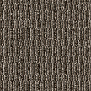 Picture of Aladdin Commercial - Compel Describe