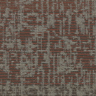 Picture of Aladdin Commercial - Fine Impressions Fantastic Journey