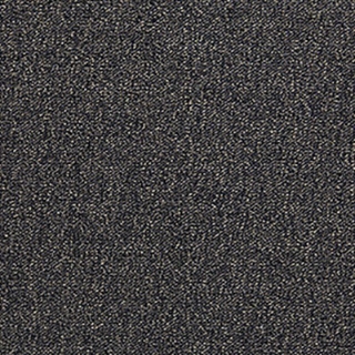 Picture of Aladdin Commercial - Scholarship II Bark