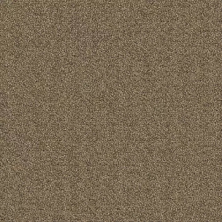 Picture of Aladdin Commercial - Scholarship II Sienna