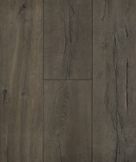 Picture of Lifecore - Anew Transformed