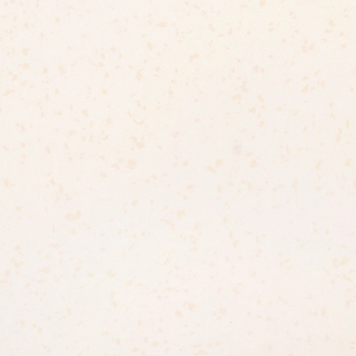 Picture of Flexco - Geodesy 24 x 24 Lunar