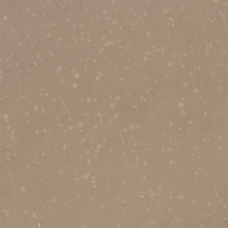 Picture of Flexco - Geodesy 12 x 12 080 Earth