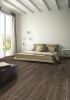 Picture of Daltile - Articulo 12 x 24 Story Brown