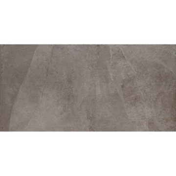 Picture of Daltile - Delegate Paver 20 x 40 Light Grey