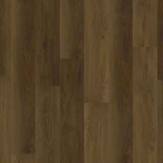 Picture of EarthWerks - Chassis Pro Spitfire