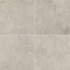 Picture of Daltile - Limestone 24 x 24 Polished Volcanic Gray