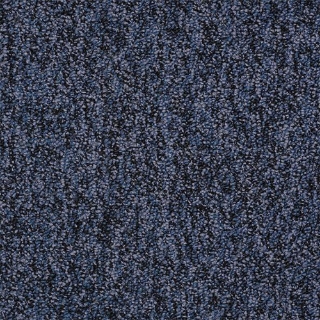 Picture of Philadelphia Commercial by Shaw - No Limits Everlasting