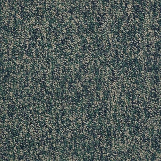 Picture of Philadelphia Commercial by Shaw - No Limits Infinity