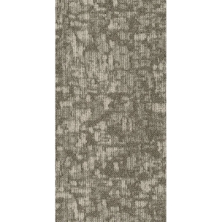 Picture of Philadelphia Commercial by Shaw - Arid 18 x 36 Pingo