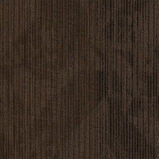 Picture of Philadelphia Commercial by Shaw - Declare Coverage