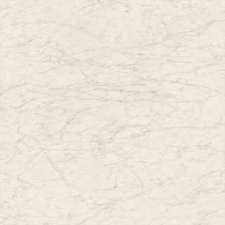 Picture of SOHO Studio Corp - Marmi DItalia 6 x 6 Matte Bianco Gioia