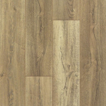 Picture of Shaw Floors - Pantheon HD Plus Foresta