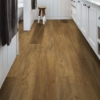 Picture of Shaw Floors - Pantheon HD Plus Foresta