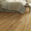 Picture of Shaw Floors - Pantheon HD Plus Foresta