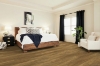 Picture of Shaw Floors - Pantheon HD Plus Foresta