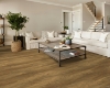 Picture of Shaw Floors - Pantheon HD Plus Foresta