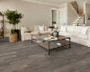 Picture of Shaw Floors - Pantheon HD Plus Tempesta