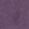 Picture of VPI Corp. - PRT Earthtones Feature Strip 1 x 24 Aztec Amethyst