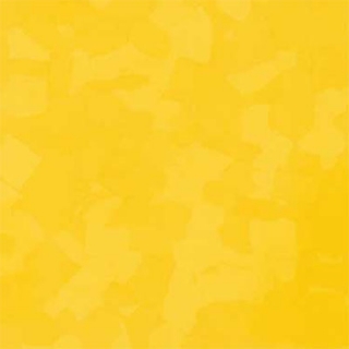 Picture of VPI Corp. - PRT Earthtones Feature Strip 1 x 24 Lemon Rock