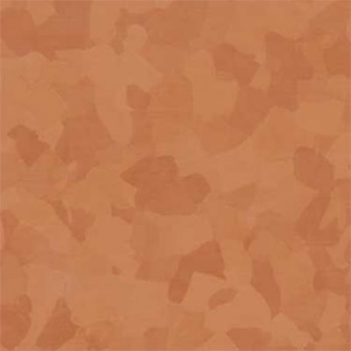 Picture of VPI Corp. - PRT Earthtones Feature Strip 1 x 24 Mexican Fire Opal