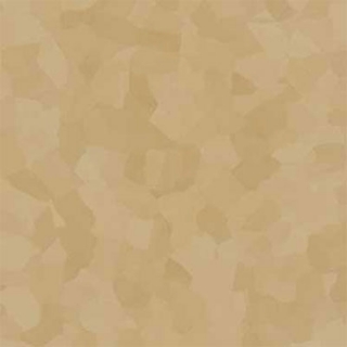 Picture of VPI Corp. - PRT Earthtones Feature Strip 2 x 24 African Granite