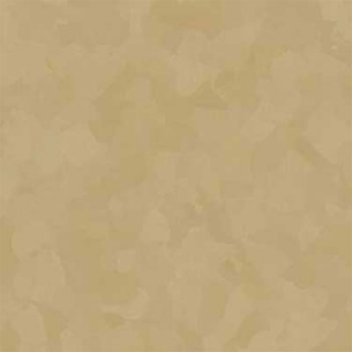 Picture of VPI Corp. - PRT Earthtones Feature Strip 2 x 24 Australian Quartz