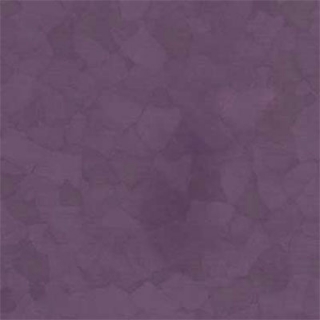 Picture of VPI Corp. - PRT Earthtones Feature Strip 3 x 36 Aztec Amethyst