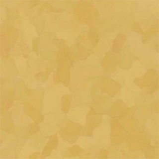 Picture of VPI Corp. - PRT Earthtones Feature Strip 4 x 24 Grand Canyon Yellow