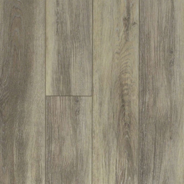 Picture of Shaw Floors - Tivoli Plus Delfino