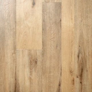 Picture of Johnson - Sicily Enna