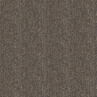 Picture of Aladdin Commercial - Breaking News Special Report