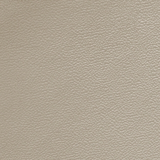 Picture of Johnsonite - Solid Colors Forged Shoreline