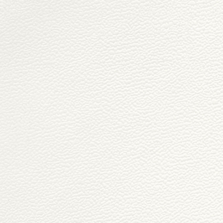 Picture of Johnsonite - Solid Colors Forged White Sand