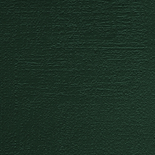 Picture of Johnsonite - Solid Colors Woodgrain Hunter Green