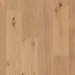 Picture of Shaw Floors - Expressions 7.5 Harmony