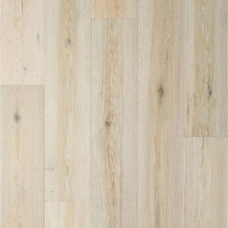 Picture of Nuvelle - Sea Harbor Abalone