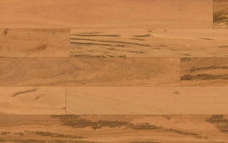 Picture of IndusParquet - Largo Wirebrush Engineered 7 3/4 Tigerwood Natural