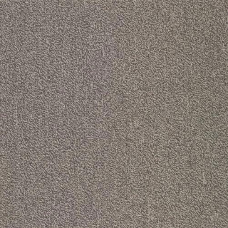 Picture of SFI Floors - Capital Dove Bar