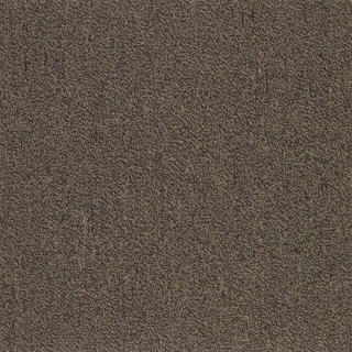 Picture of SFI Floors - Capital Macaw