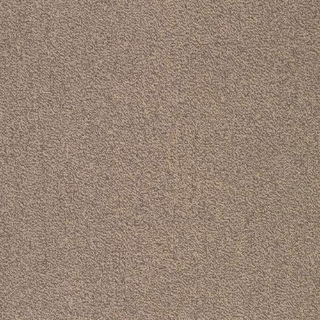 Picture of SFI Floors - Capital Mockingbird